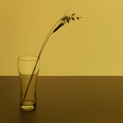 Similar image 22443837