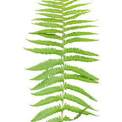 Similar image 22443844