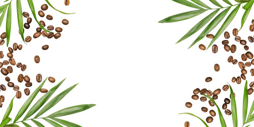 Similar image 22443846