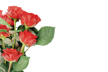 Similar image 22443847