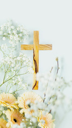 Similar image 22443864