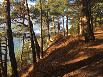 Similar image 22404693