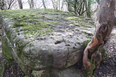 Similar image 22404697