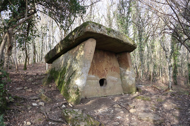 Similar image 22404700