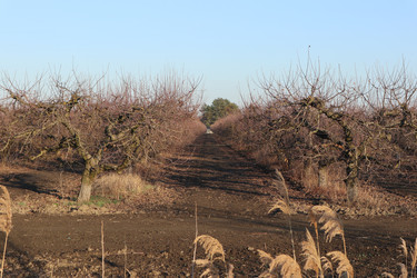 Similar image 22404678