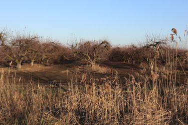 Similar image 22404679