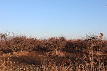 Similar image 22404680