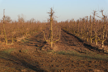 Similar image 22404682