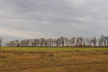 Similar image 22404683