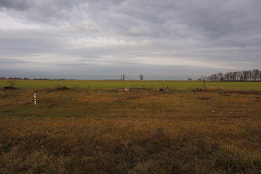 Similar image 22404684