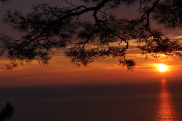 Similar image 22404687