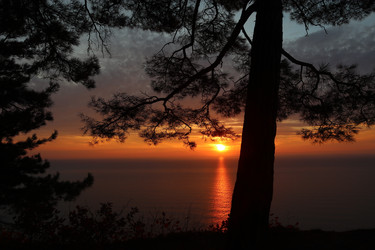 Similar image 22404688