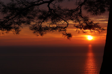 Similar image 22404691