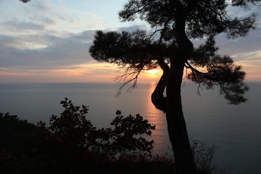 Similar image 22404692