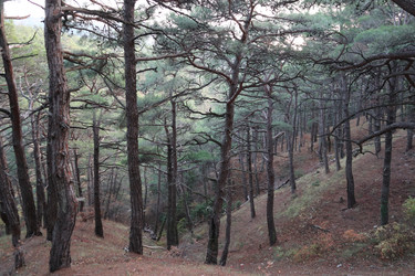 Similar image 22404703