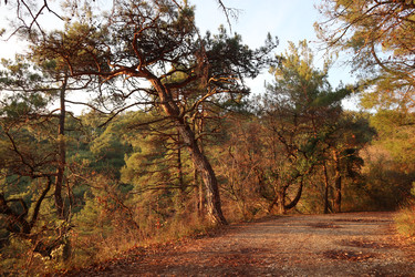 Similar image 22404704