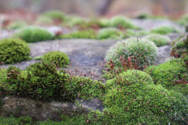 Similar image 22404706