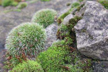 Similar image 22404707