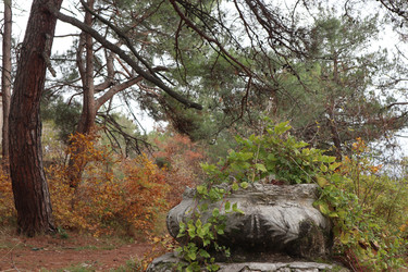 Similar image 22403594