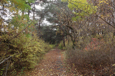 Similar image 22403595