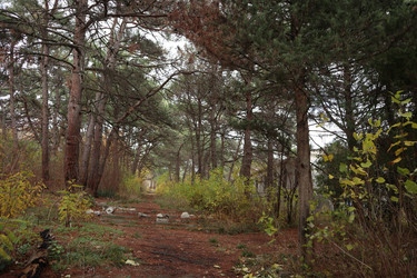 Similar image 22403596