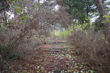 Similar image 22403609