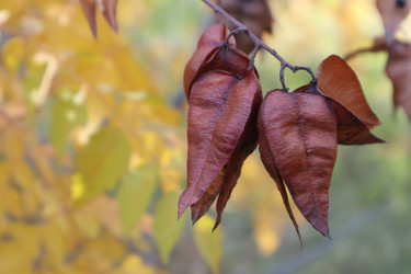 Similar image 22403610