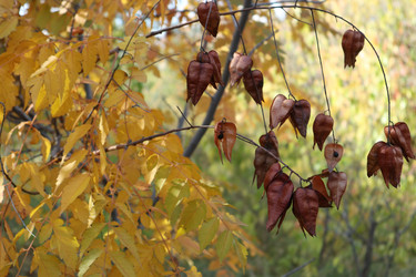 Similar image 22403611