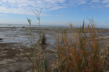 Similar image 22403614