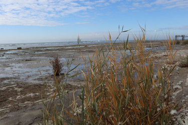 Similar image 22403615