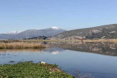 Similar image 22416264