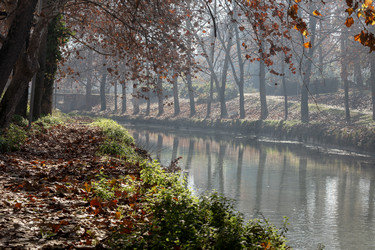 Similar image 22416265