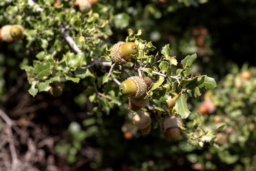 Similar image 22416280