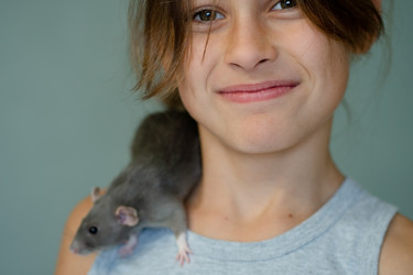 Similar image 22425300