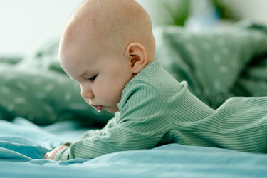 Similar image 22425317