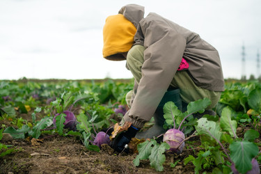 Similar image 22425334