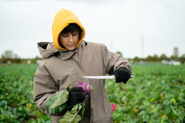 Similar image 22425335