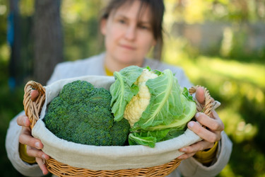 Similar image 22425336