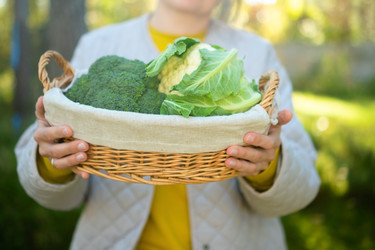 Similar image 22425337