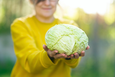 Similar image 22425340