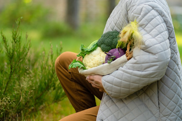 Similar image 22425342