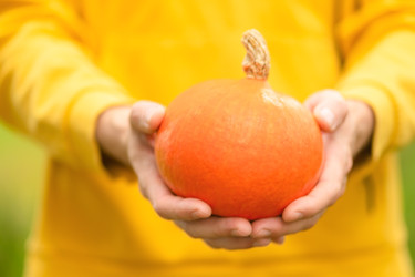 Similar image 22425343