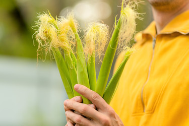 Similar image 22425344