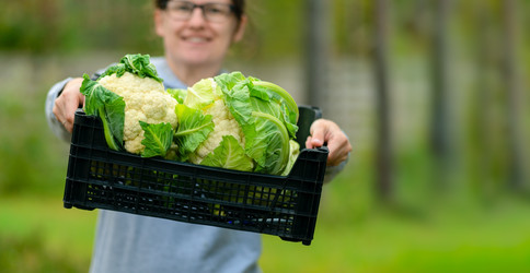 Similar image 22425348