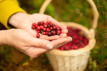 Similar image 22425352