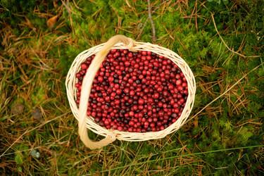 Similar image 22425353