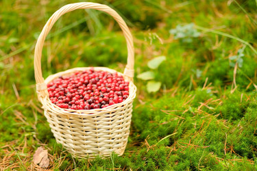 Similar image 22425354