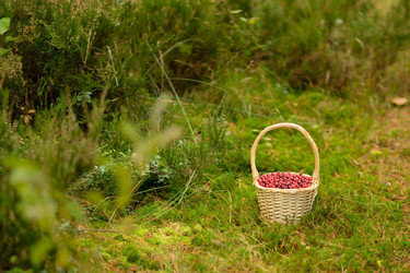 Similar image 22425355