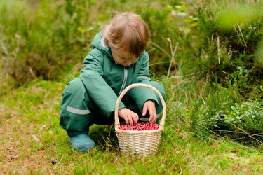 Similar image 22425357