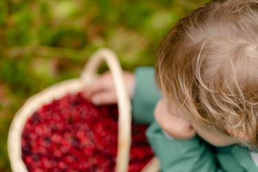 Similar image 22425359